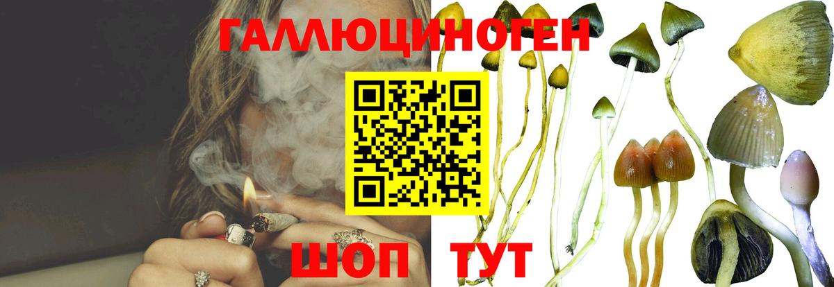 Галлюциногенные грибы Cubensis Балабаново