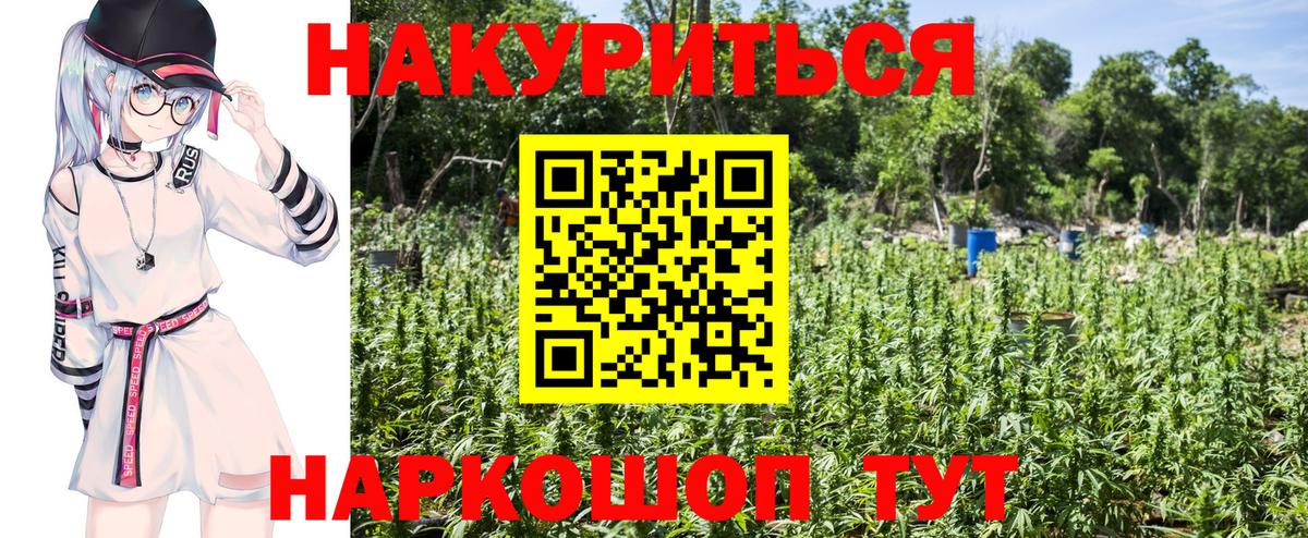 Конопля план Балабаново